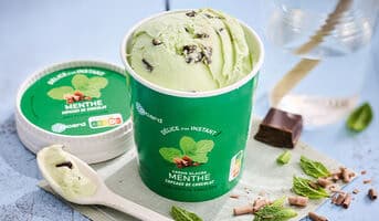 Crème glacée menthe copeaux de chocolat