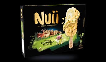4 Bâtonnets NUII pistache