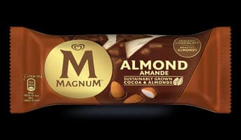 1 Bâtonnet Magnum amande