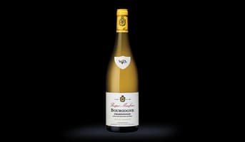 AOP Bourgogne Chardonnay, Prosper Maufoux
