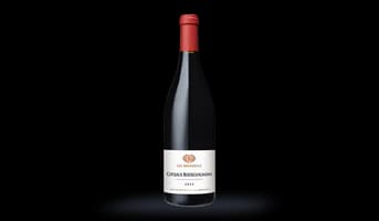 AOP Coteaux Bourguignons, Les Boiseuils