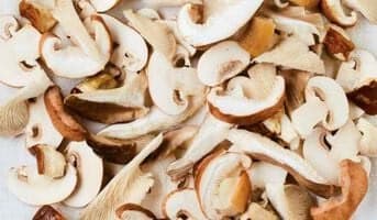 Mélange de champignons bio