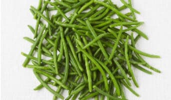 Haricots verts extra-fins bio