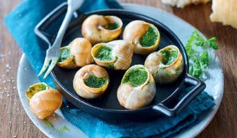 36 escargots belle grosseur, de Bourgogne