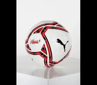 TeamFINAL 21.5 Hybrid Ball