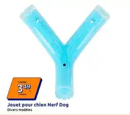 Nerf Dog Jouet pour chien