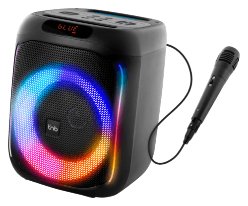 Enceinte High Power + Micro Tnb