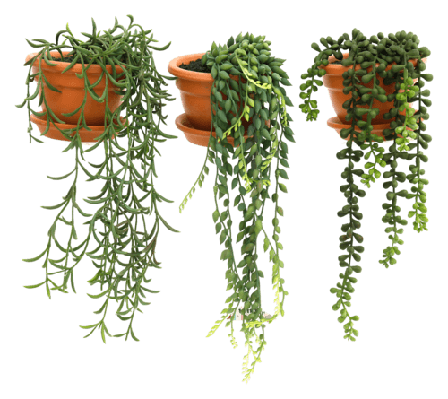 Foire A la Plante Artificielle