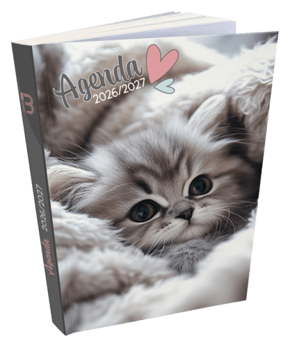 Agenda Scolaire 12x17cm Bouchot