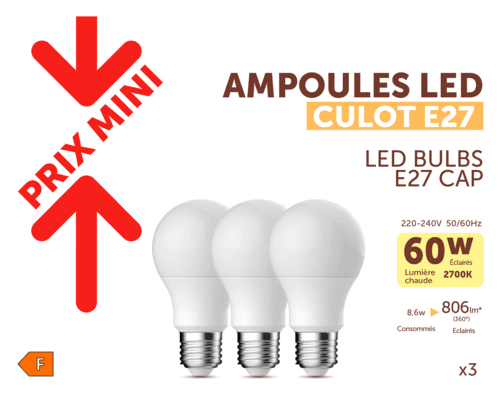 Lot de 3 Ampoules Led Rondes 60w E27