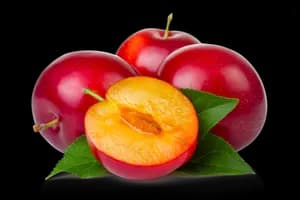 Prunes Rouges