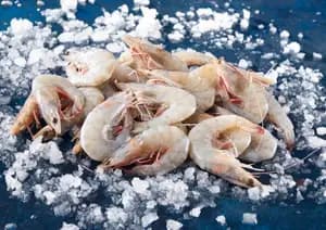 Gambas Entières Crues Décongelées