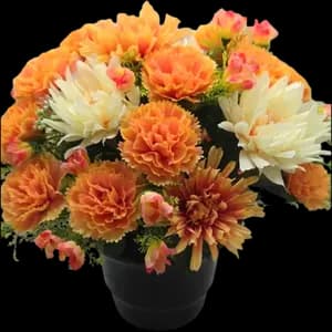 Pot - Oeillets et Chrysanthèmes