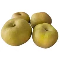 Pomme Grise Du Canada
