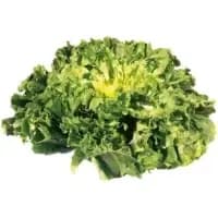 Salade Scarole
