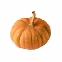 Courge Musquee