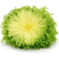 Salade Frisee Fine