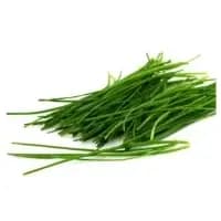 Ciboulette Fraiche