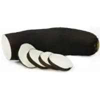 Radis Noir Bio Graines De Paysans