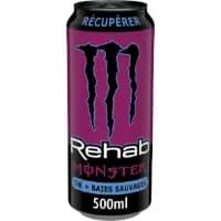 Boisson Energisante Rehab The Et Baies Sauvages Monster