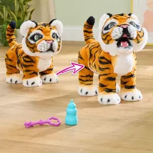 Gabby, le tigre qui grandit et rugit