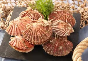 Coquille Saint-Jacques coraillée* Pavillon France