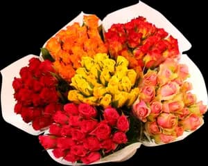 Bouquet de 20 Roses 40cm