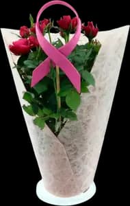 ROSIER POT 12CM Coloris rose
