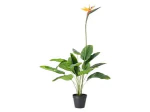 Plante artificielle