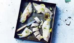 Filets de dorade-sébaste MSC