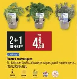 JARDIBEST Plantes aromatiques
