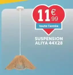 Aliya suspension