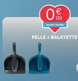 Pelle + balayette