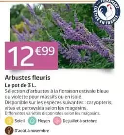 Arbustes fleuris