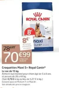 Royal Canin Croquettes Maxi 5+