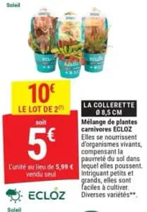 Ecloz la Collerette