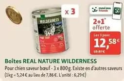Real nature - boîtes wilderness