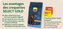 Select gold - croquettes