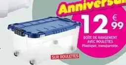 Boîte de Rangement Avec Roulettes