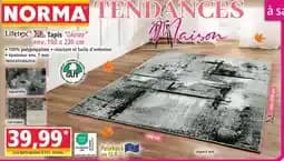 Lifetex xl tapis shiraz aquarelle