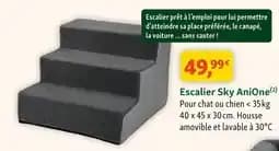Anione escalier sky