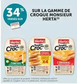 Herta Croque Monsieur