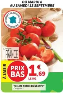Tomate ronde en grappe