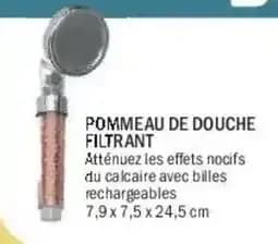 Pommeau de douche filtrant