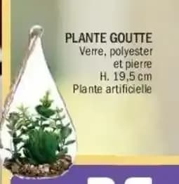 Plante goutte