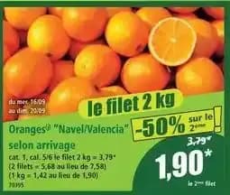 Oranges navel/valencia