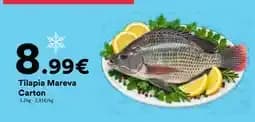 Tilapia Mareva