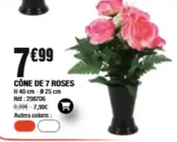 Cône de 7 Roses