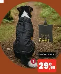 Wouapy le Pliable