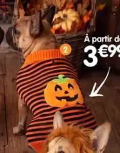 Jouet pour chien - divers modèles